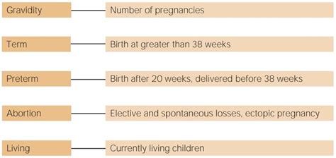 gtpal meaning|GTPAL Maternity Nursing NCLEX Review .